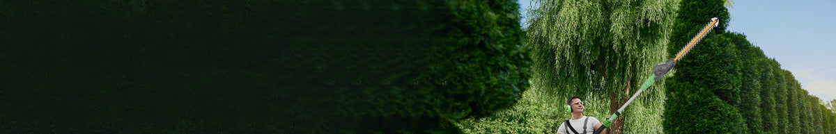 Gardener trimming a tall hedge with a long pole tool in a sunny green garden
