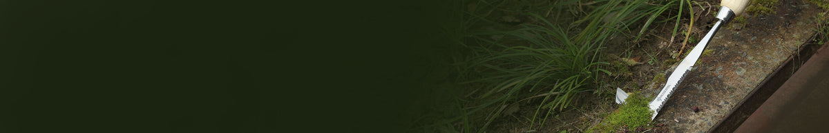 Dark green garden border with ornamental grass and a white handled tool beside a stone edging