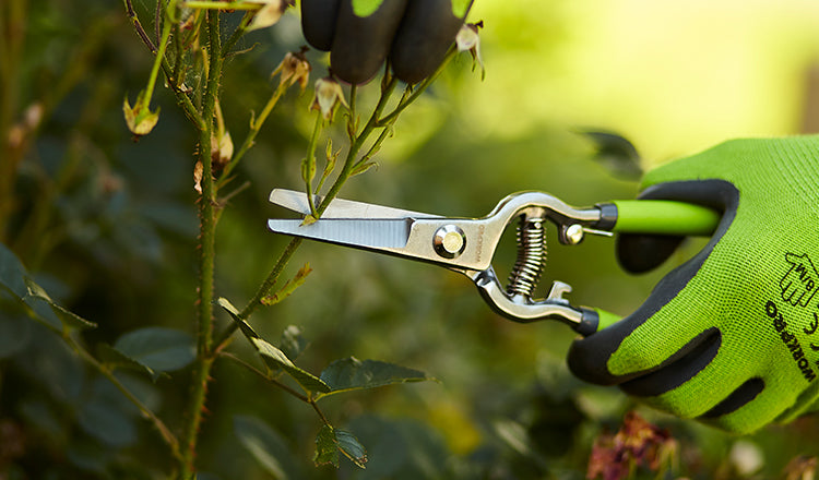 Lawn & Garden – Page 6 – WORKPRO TOOLS