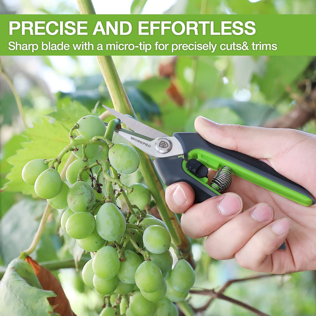 Gardening pruning shears with green handle and straight stainless blades, held in hand