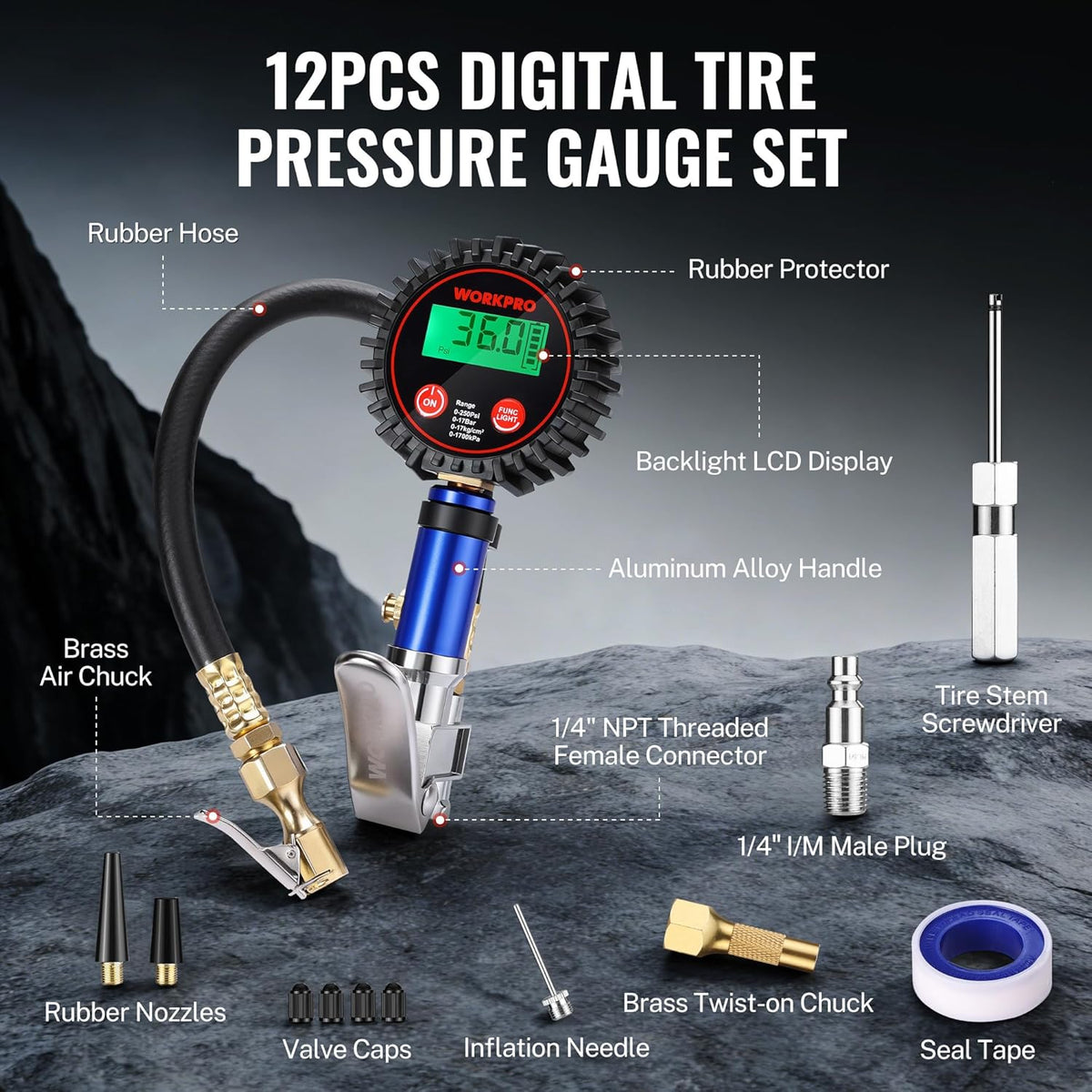 12-piece digital tire pressure gauge set with brass air chuck and rubber hose