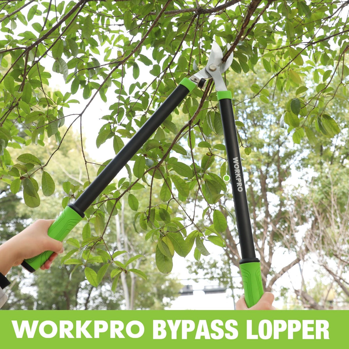 Handheld bypass lopper on branches with green grips and black handles