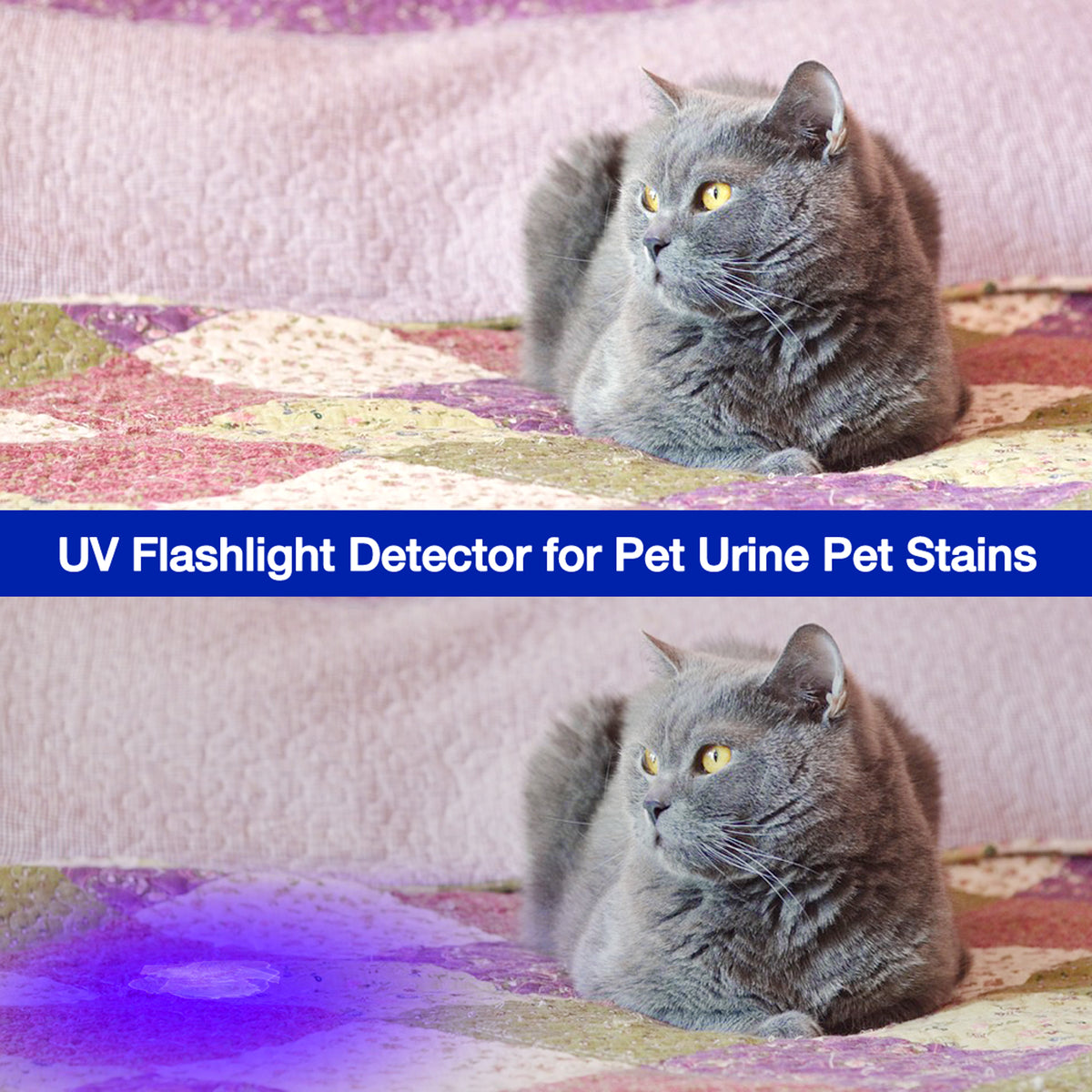Workpro LED pen light with UV flashlight reveals pet urine stains on a patterned blanket.