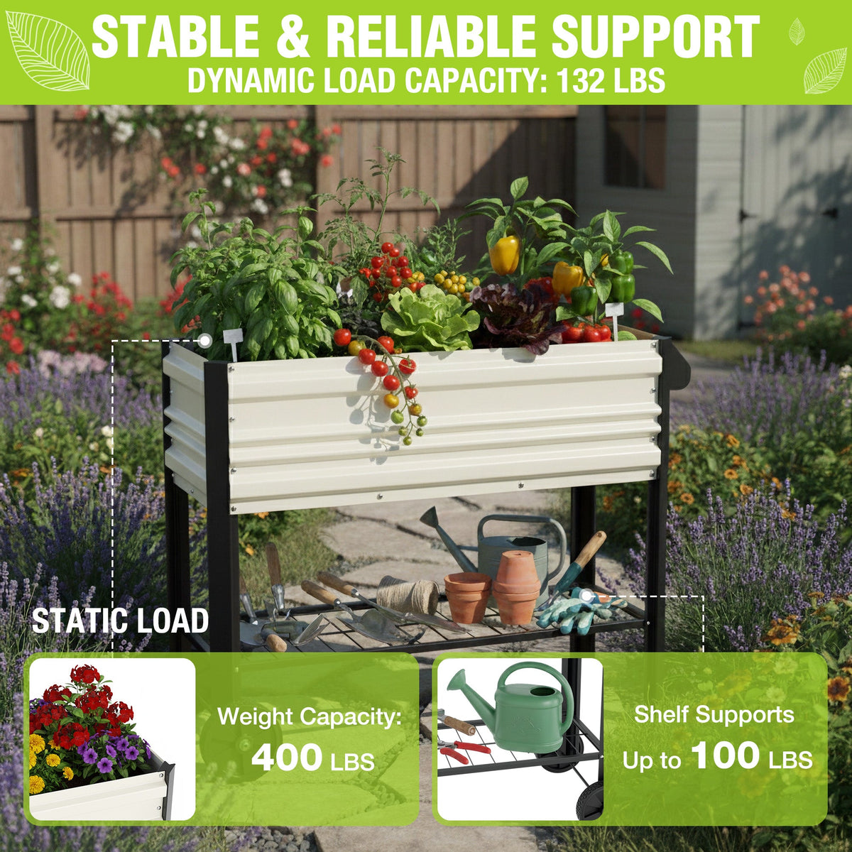White raised garden bed with black frame, plants inside and gardening tools on lower shelf.