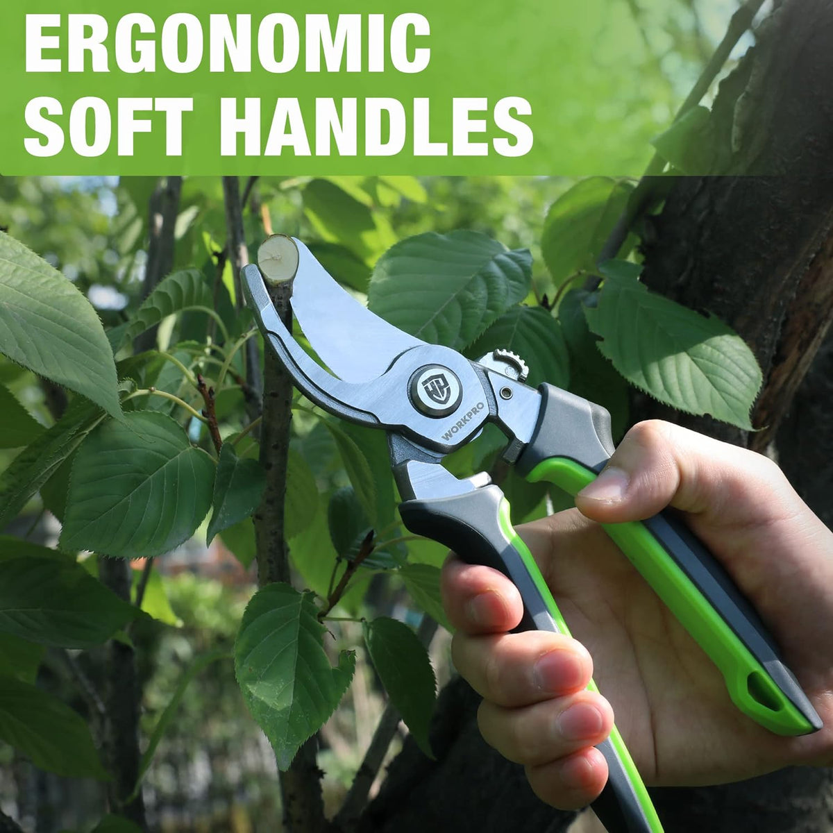 Bypass pruning shears with soft black-and-green handles and curved silver cutting blades.