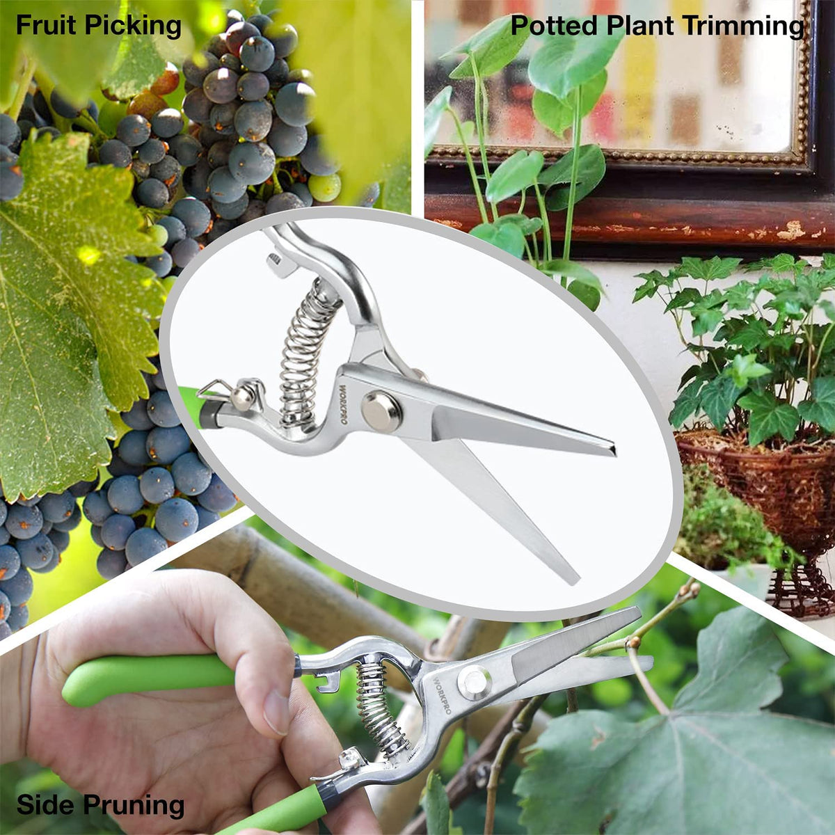 Handheld pruning shears with green handles and sharp silver bypass blades