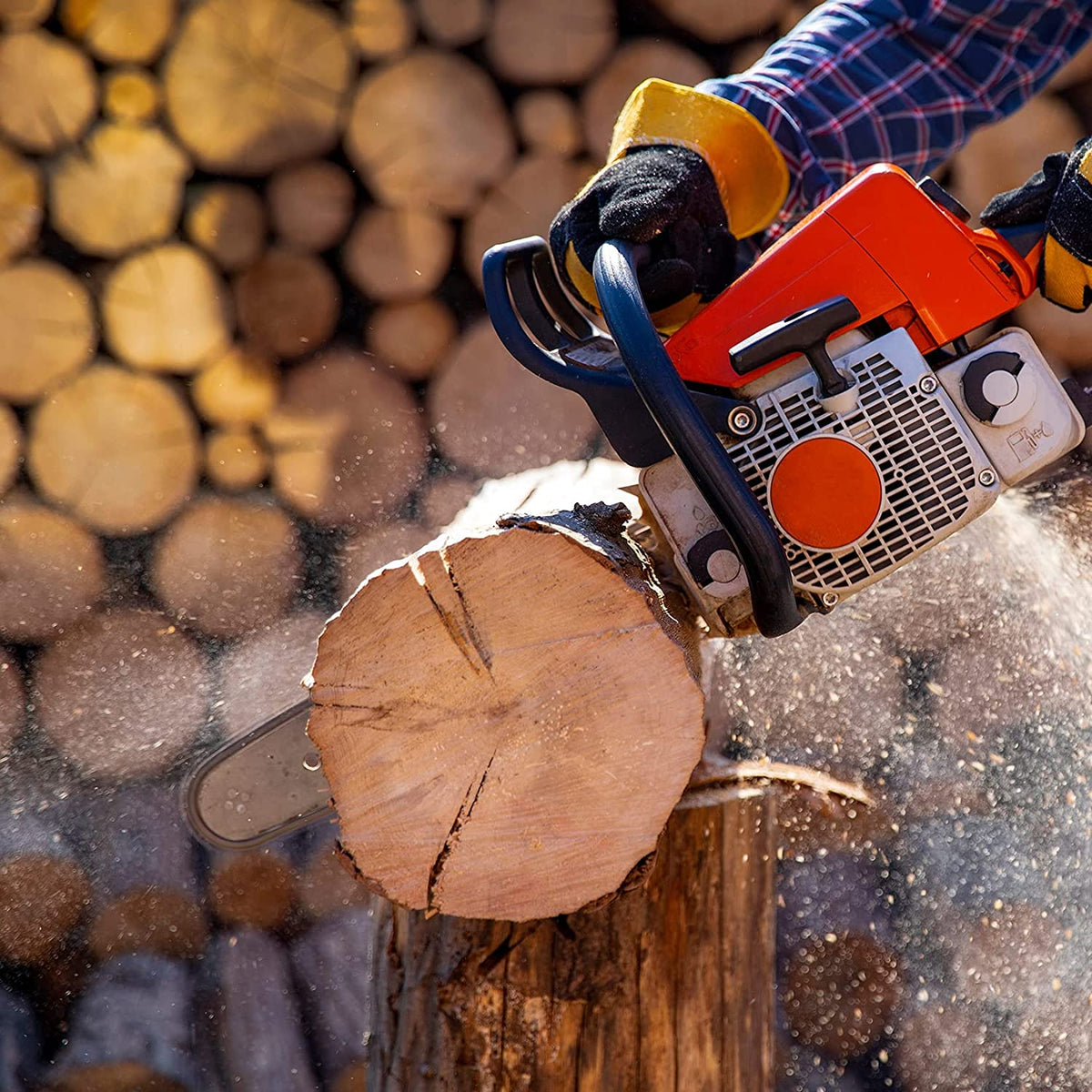 Chainsaw chain on guide bar cutting a wood log, with sawdust spray